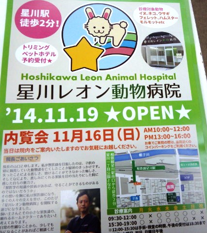 健康診断兼ねて行くのも良いと思います。