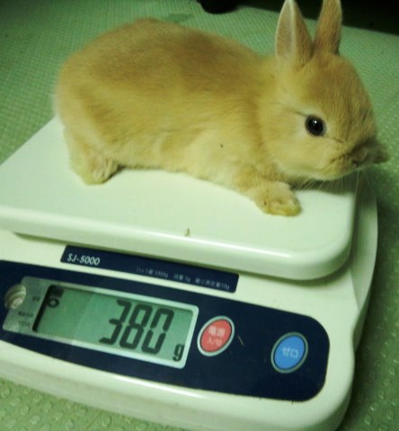 ママのパリスに似ず性格もいいですからね。