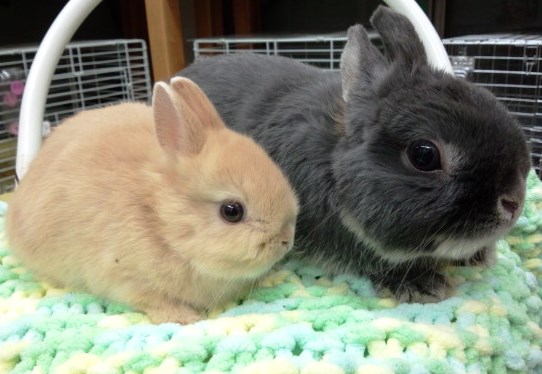 エールいつもありがとうございます。なんとかかんとか乗り切れてます。