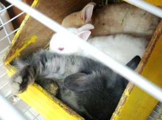 ただ狭かっただけかな(笑)