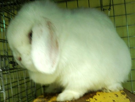 元々かなですが(笑)