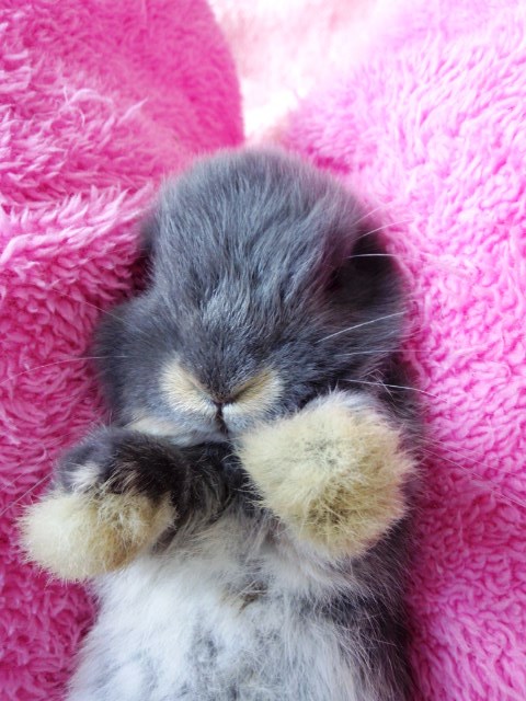 長生きするんだぞ~