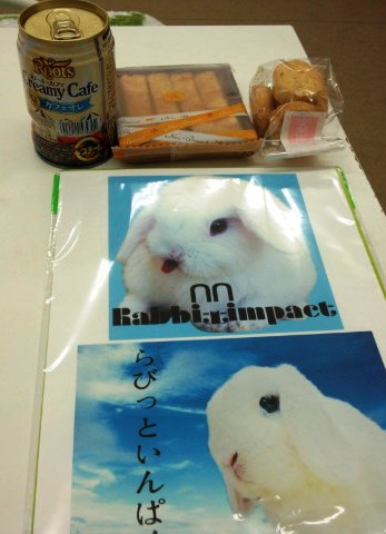 うちのオバ様に4枚分アイロンでやってもらいますね~お小遣いあげないとやってくれないんです(笑)