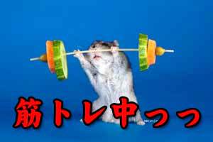 無駄な?筋トレがいけないのかな(笑)