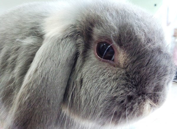 性格もいいので期待してるんです。