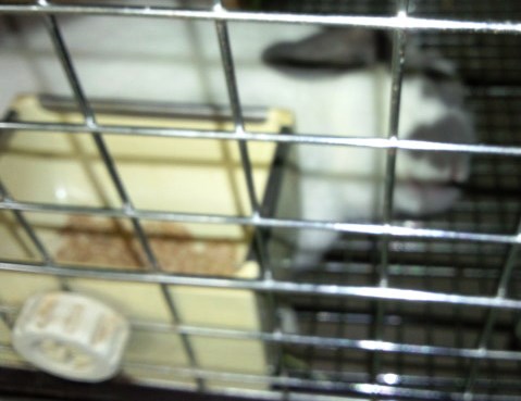 スカだったり。